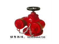 多用式地上消防水泵接合器 兴龙消防器材专卖