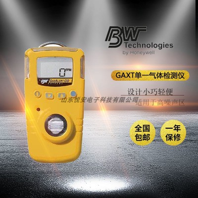 加拿大BWGAXT-X手持式单一氧气体检测仪现货